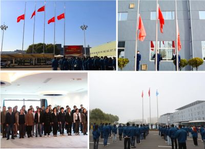 行稳致远 坚守初心—pa电子医药28周年升旗及宣誓活动